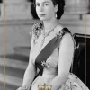 Best deal ⌛ Leaf 2022 Remembrance Queen Elizabeth II Trading Card [#1] ✨