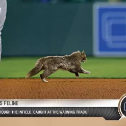 Buy 👏 MLB Topps Now 2021 Fearless Feline Exclusive Trading Card 🤩