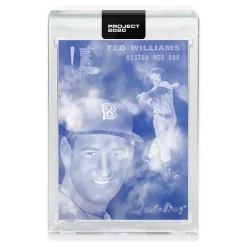 Outlet 🎉 MLB Topps Project 2020 ⚾ Baseball 1954 Ted Williams Trading Card [#146, by Don C] ⭐